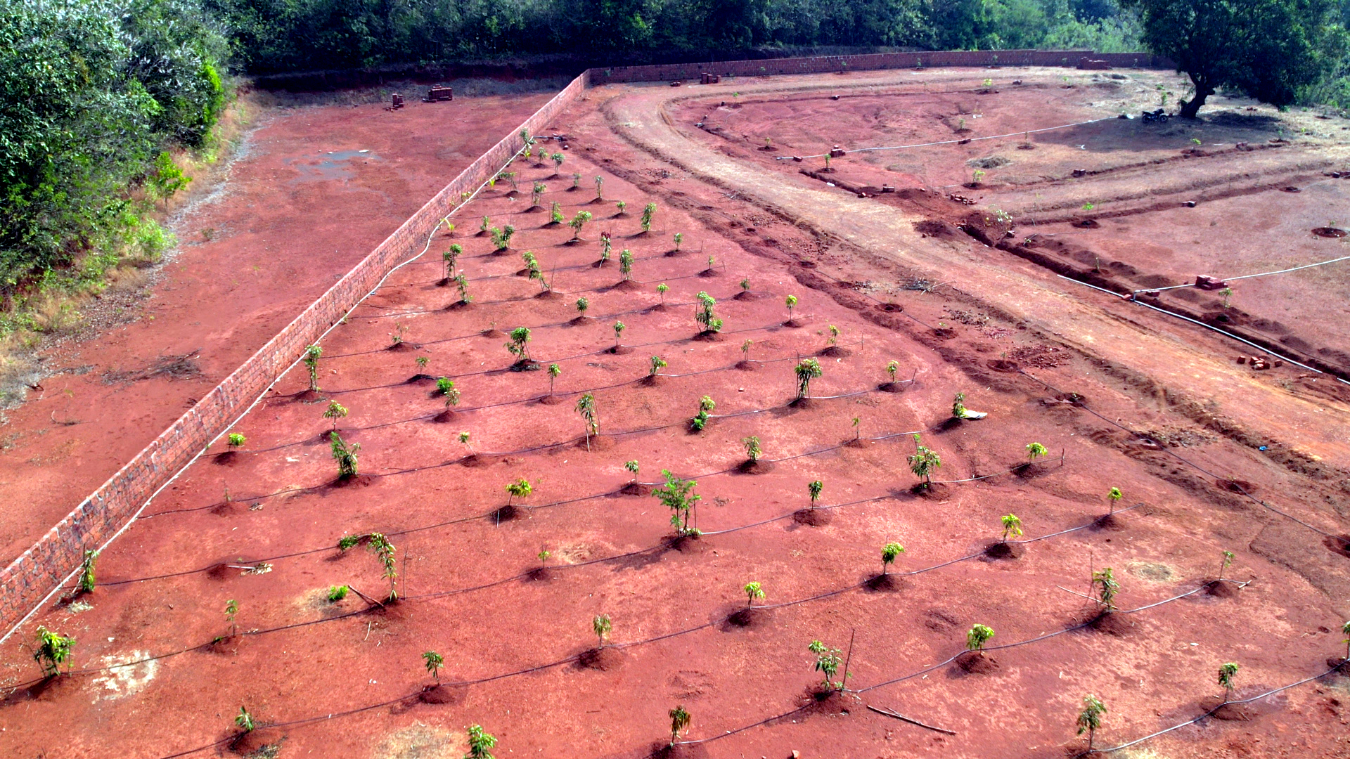 Mountains in the Clouds